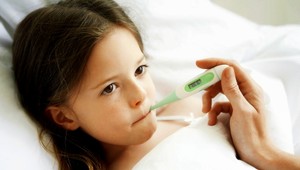 Týchto 5 potravín posilní vašu imunitu. Zn.: Zaručene!