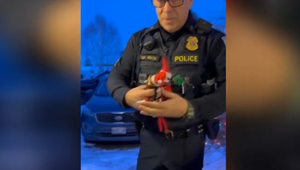 Dohodnutý vtip: Policajt odovzdal Elfov v putách malému chlapcovi