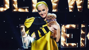 Smutná udalosť tesne pred pôrodom! Katy Perry ponúka tisíce za pomoc!