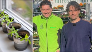 Chcete mať tento rok úrodu skôr? Tieto druhy plodín sú vhodné na sadenie už teraz!