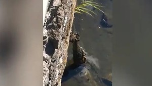 Poplach v Banskej Bystrici. Okoloidúci si všimol v rieke delostreleckú mínu