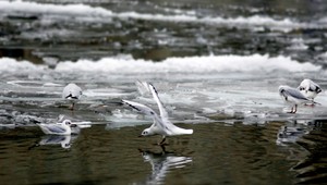 Nečakajte žiadne babie leto, začína mrznúť!