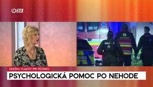 Rozhovory 24: Psychologická pomoc po nehode