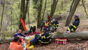 Robotníka zavalil strom: Zasahovať musel vrtuľník