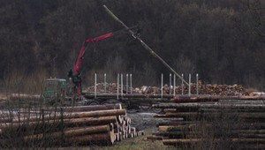 Obec postihla kalamita lykožrútov. Tisíce hektárov lesa je v ohrození
