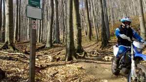 tvojenoviny: Šokujúca jazda motorkárov v lese