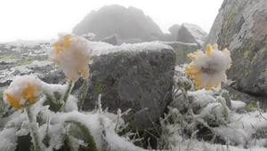V Tatrách sa objavil sneh a mráz. Turisti museli vytiahnuť zimné bundy
