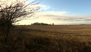 SaS rozdáva na južnom Slovensku dvojjazyčné letáky