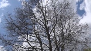 V meste prežili dvesto rokov. Posledné zbohom im dali vandali