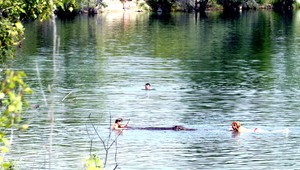 V jazere v bratislavských Vajnoroch sa topilo dieťa (7)