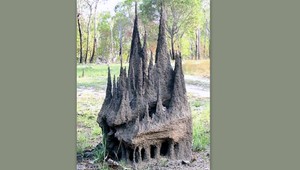 Neuveríte, kto postavil túto majestátnu katedrálu