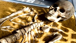 Kalkulačka smrti. Vedci vytvorili kalkulačku, ktorá vám povie, ako dlho budete žiť