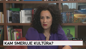 Analýzy 24: V parlamente je tretí návrh na odvolanie Šimkovičovej, hovorí Jaurová