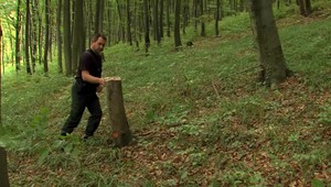 Jazdecká polícia kontrolovala lesy na východe Slovenska. Keď prišli na miesto, čakalo ich nemilé prekvapenie