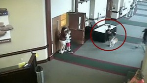 Splašená srnka behala po kostole