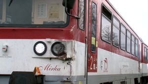 Kôň vbehol pod vlak. Zviera nemalo šancu