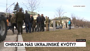 Štúdio 24: Ohrozia nás ukrajinské kvóty?