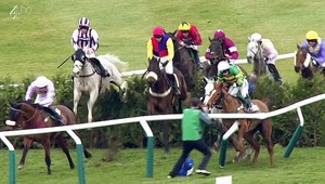 Fotograf urobil záber roka! A skončil na operačnom stole