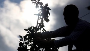 Raňajky, obed,večera. To všetko môžete mať zadarmo