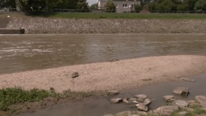 Hrdinský čin policajta: Mladíka, ktorého unášal prúd, vylovil z rieky