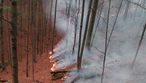 Hasiči bojujú s požiarom v doline. Zasahovala aj letka ministerstva