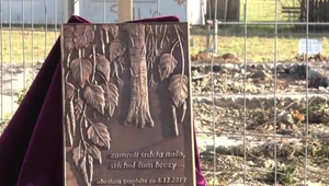 Porušilo mesto Prešov pri likvidácii bytového domu na Mukačevskej ulici zákon? Toto je záver NAKA