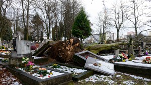 FOTOGALÉRIA: Národný cintorín v Martine zasiahla veterná smršť