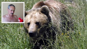 Lesníkova spoveď. Milan prežil (62) útok medveďa