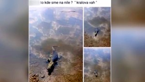 Krokodíl vo Váhu. Polícia si posvietila na prípad hrozivého tvora