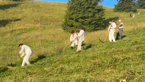 Slovenský raj drží unikát: Lúky s rekordnou pestrosťou rastlín kosia ručne