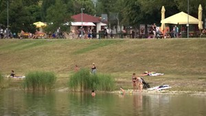 Pozor na nebezpečné sinice v jazerách: Týmto miestam by ste sa mali radšej vyvarovať