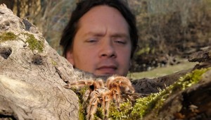 Pozor na fóbie! Niektoré vás môžu aj zabiť ...