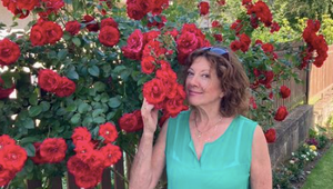 Po Zagorovej hlási zdravotné problémy ďalšia česká hviezda! Speváčka prišla o hlas!