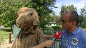 MAXISVIŠŤ v bratislavskej ZOO
