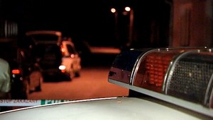 Otrasný nález! Mladík našiel v lese na strome lebku