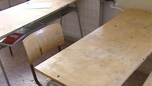 Českí študenti chytili prasaciu chrípku na výlete v Bavorsku