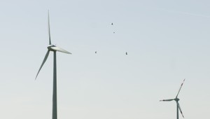 Veterné turbíny rozdeľujú obce: Ochrana prírody verzus miliónové zisky