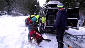 Pád lavíny vo Veľkej Fatre: Masa snehu sa okolo poludnia uvoľnila z vrchu Krížna a strhla so sebou ľudí