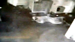 Rafinovaný zlodej. Zmenil sa na ducha