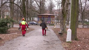 V historickom parku v Banskej Bystrici vyrúbali takmer 150 stromov, zásah vyvolal kritiku