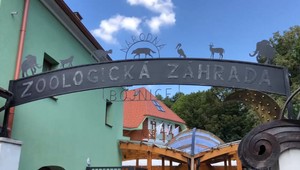V bojnickej ZOO potvrdili vtáčiu chrípku. Pre verejnosť zatvorili jej brány