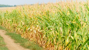 Prokurátor vydal pokyn na prešetrenie poskytovania agrodotácii spoločnosti Agro Porúbka