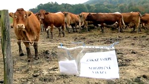 Na východe Slovenska sa objavil nebezpečný Antrax