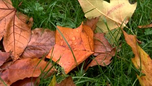 Babie leto je tu. Počasie by mohlo priať poľnohospodárom