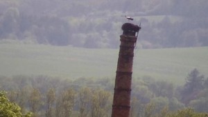 V Sabinove odstrelili storočný komín, do ktorého udrel blesk a zabil bocianiu rodinku