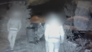 Nečakaná nočná návšteva: Fotopasca odhalila päticu votrelcov