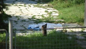 Pacient vyskočil z okna nemocnice. Neuniesol svoju diagnózu