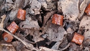 V Nových Zámkoch niekto rozsypal 150 kúskov klobás s napichanými klincami a rybárskymi háčikmi