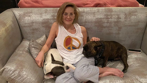 Tak TOTO je neuveriteľný kus ženskej! Hviezdna herečka má 62, ale akoby nestarla!