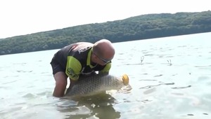 VIDEO: Muž chytil rekordne veľkého kapra. Pozrite sa, ako vyzeral